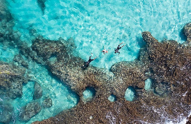 ningaloo_reef picture.